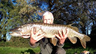 LUCCIO 90 CM pescando con la boa in movimento [upl. by Suidaht]