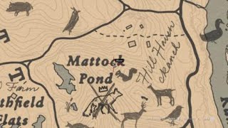 Red Dead Redemption 2 Loot box Mattock pond [upl. by Kerman]