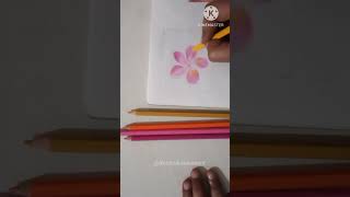 shorts youtubeshorts  color pencil drawing flowers  plumeria flower paintingRoshnikalavasant [upl. by Eiramenna]