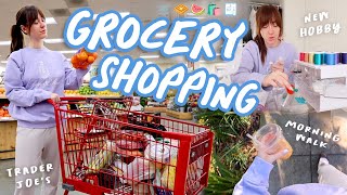 Grocery Shopping  Trader Joes  New Hobby Epic Fail Vlogmas Day 6 [upl. by Aylat227]