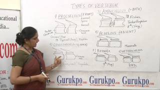 Types of vertebrae lectureBscMsc by priyanka khan [upl. by Ayana]