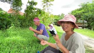 Transplanting Trees and Bamboo  Idyllic Life in Lifechanyuan International Family Thailand Branch [upl. by Wivinah]