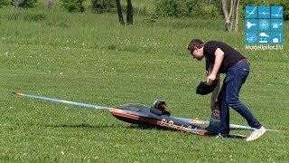 PULS PARITECH RC IMPELLER AEROBATIC FLIGHT ALEXANDER SCHIEGG MULTIPLEX AIRSHOW BRUCHSAL 2017 [upl. by Aimik]