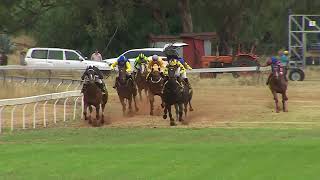 Tullibigeal 23 03 2024 Race 6 [upl. by Harpp]