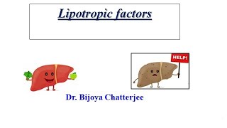 Lipotropic factors [upl. by Rustice]