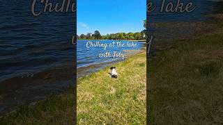 Relaxing at Lake Wendouree with Toby 🐦 🌳 [upl. by Akirdnas]