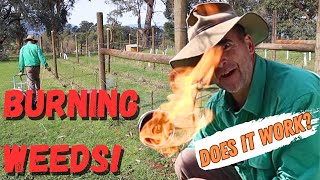 Burning Weeds Weldclass Blow Torch Farm Review [upl. by Darce]