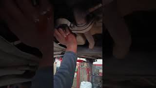 Swift dzire oil filter replacement [upl. by Tsan]