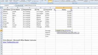 Using Excels Subtotal Function with Filters in Excel [upl. by Esemaj426]