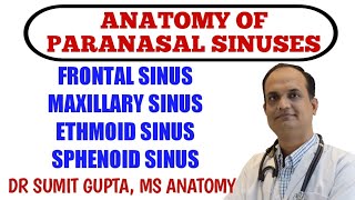 PARANASAL SINUSES  ANATOMY [upl. by Ernest]