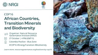 The Impact of the Energy Transition on Mining Dynamics in Africa’s Biodiverse Countries COP16 [upl. by Ardnassela]