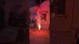 Diwali Crackers test 2024😱viralshorts [upl. by Eytak269]