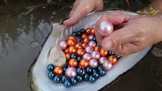 Lucky I picked up pearl oysters and harvested many pearls including a huge pink pearl [upl. by Baynebridge]