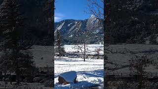 Chautauqua Park and the Flatirons in Boulder Colorado on Thanksgiving Day 2024 [upl. by Marline]