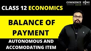 Balance of payment  Autonomous and Accommodating Items  Economics on Your Tips  video 42 [upl. by Hildegarde]