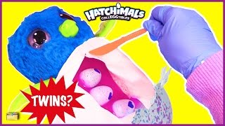 Birth of Twin Hatchimals CollEGGtibles Surprise Eggs Game Hatchimals Toy Opening for Kids [upl. by Eisinger]