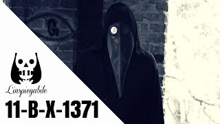 11BX1371 UN VIDEO misterioso E INSPIEGABILE [upl. by Ainoda]