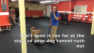 How To Kennel Up your Dog DIY Dog Training [upl. by Lebasy]