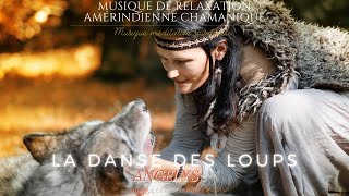 La danse des Loups Musique Chamanique Amérindienne avec Tambour et Chants de Lumières [upl. by Aysa669]