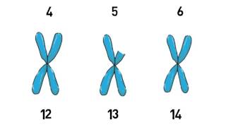 Whole Exome Sequencing Part 2 Analyzing the Data [upl. by Htebazie]