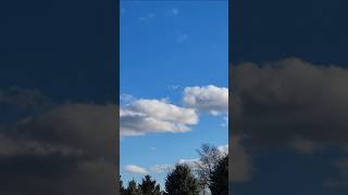 Sandhill Cranes Flying Up By Clouds on Windy November Day in the South Dakota Sky sandhillcranes [upl. by Wachtel]