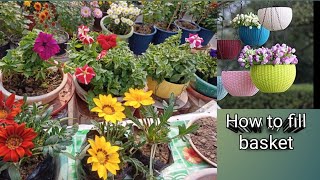 How to fill hanging basket  flowering plant ideasbeautiful hanging pot [upl. by Thornburg210]