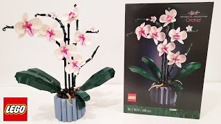 LEGO Orchid Review 2022 Botanical Collection [upl. by Anairad]