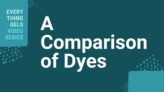 A Comparison of Dyes [upl. by Riccio209]