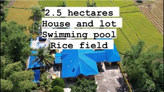 25 hectares house and lot  with rice field swimming pool Umingan pangasinan [upl. by Aiblis71]