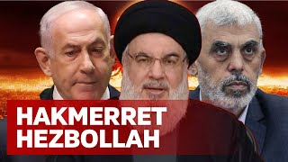 TMERROHET NETANJAHU Raketa e Hezbollah e godet [upl. by Eniluqcaj684]