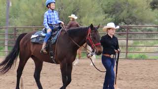 Class 17  Trail Class  Scottsdale Saddle Club  March Horse Show [upl. by Magen]