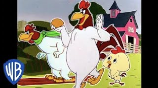 Looney Tunes en Latino  El Gallo Claudio en la granja  WB Kids [upl. by Ativahs]