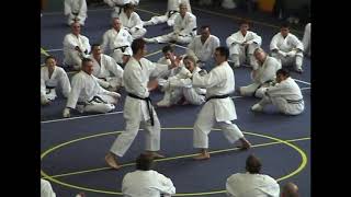 2004 gkr inst camp sat noon 23 shihan stacey partnerwork backfist coordinate guard takedown with fro [upl. by Iturhs]