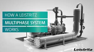 Multiphase System by Leistritz  How does it work [upl. by Goddart134]