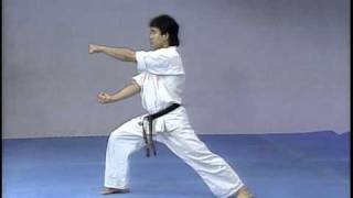 Kyokushin Kata [upl. by Market]