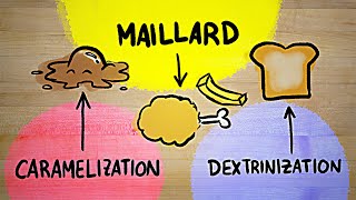 I FINALLY understand the Maillard reaction [upl. by Leba]