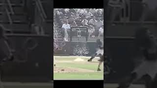 Randy Johnson KILLS Dove With Pitch shorts [upl. by Christoph]