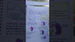 Enzymes class 11 biology [upl. by Sams]