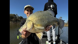 INSANE Yellowbelly fishing in Wimmera River BIG YELLAS [upl. by Notsuj]