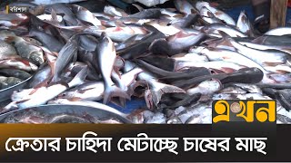 সাগরনদীতে মাছধরায় নিষেধাজ্ঞার কারণে বাজারে মাছের সরবরাহ কম  Barisal News  Ekhon TV [upl. by Notaek605]