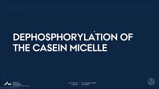 Dephosphorylation of the casein micelle [upl. by Oletha]