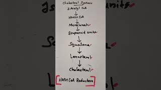 Cholesterol Biosynthesis Biochemistry 🔥👍 cholesterol lipidmetabolism biochemistry shortsvideo [upl. by Wan]