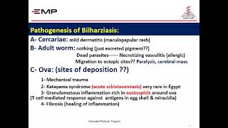 Infectious module  pathology  parasitic Bilharziasis part 1 [upl. by Rabma]