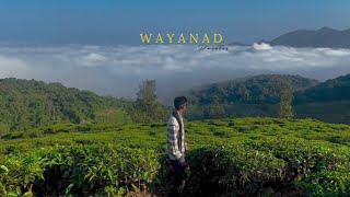 Wayanad Trip  Tourist places wayanad reels trending [upl. by Sanyu26]