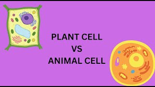 Exploring Plant and Animal Cells A Guide to Cell Organelles [upl. by Amihsat62]