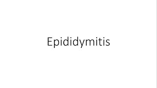 Epididymitis  General Surgery [upl. by Esylle]