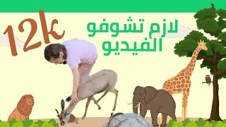 زرنا حديقة الحيوانات وشهد ضربت القرد وانتقم منها [upl. by Mimi]