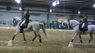 World Famous Lipizzaner Stallion Show [upl. by Koss87]