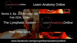 Episode 152  The Lymphatic System [upl. by Hildick963]