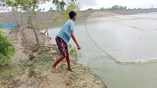 Amazing net fishing in the pond  village boy catching up with cast net nodifishingbd9721 [upl. by Frankel812]